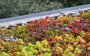 the cost of Sunnyside green roof installation