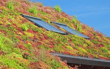 Sunnyside living roof systems