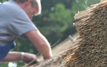 professional Sunnyside thatchers