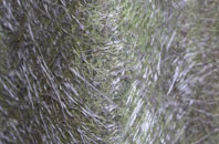 Sunnyside fibreglass roof work